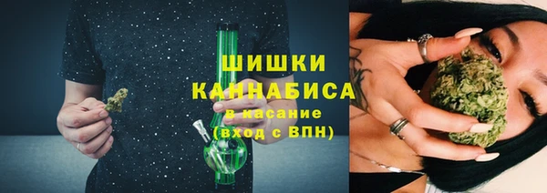 сатива Богданович