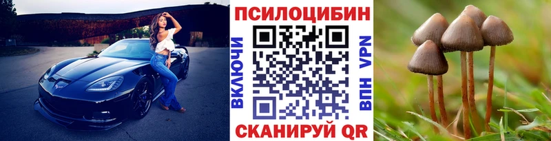 Псилоцибиновые грибы Psilocybe  Томари 